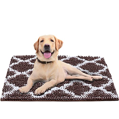Super Absorbent Indoor Chenille Doormat, Muddy Dog Washable Rug, Quick Dry Soft Thick Microfiber Durable Absorbs Water and Moisture Go Away Door Mat Doormat for Entry